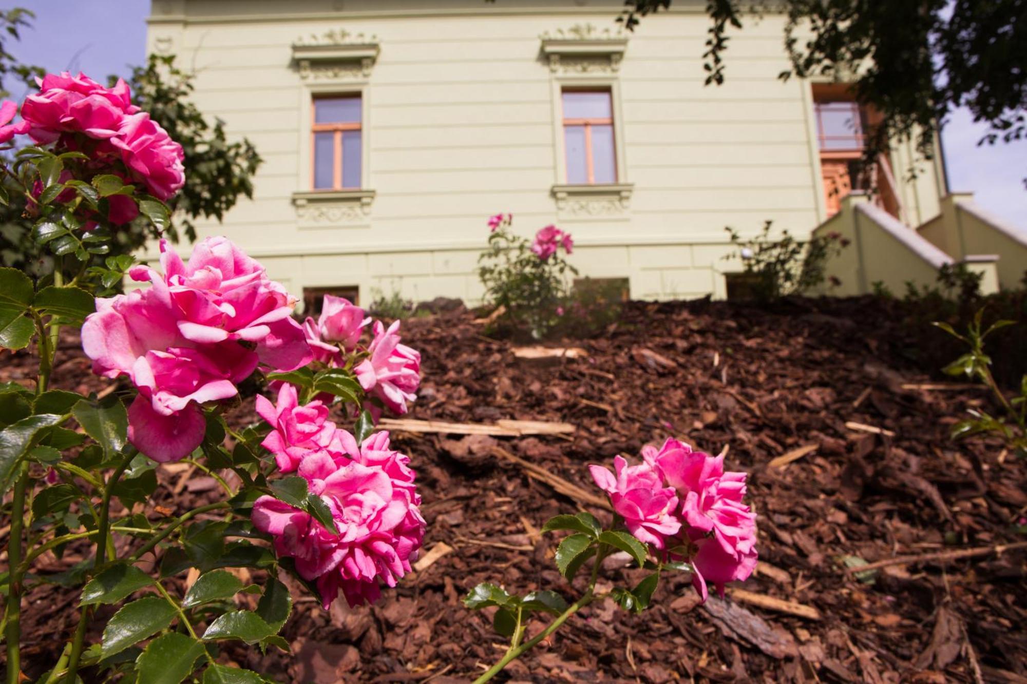 Ubytovani U Vladare Velhartice Exteriér fotografie