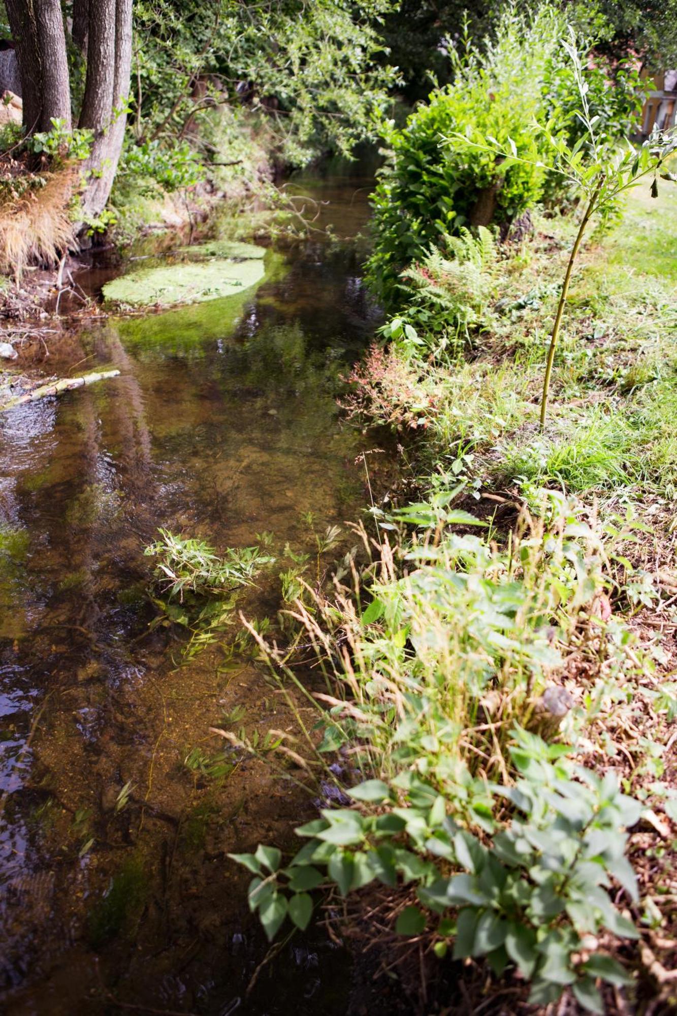 Ubytovani U Vladare Velhartice Exteriér fotografie